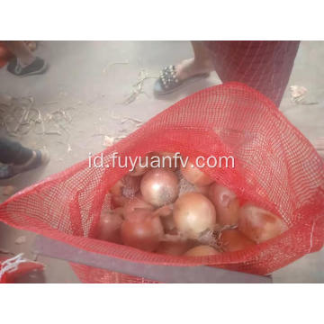 Bawang Gansu segar dimulai